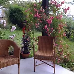 La Marguerite *