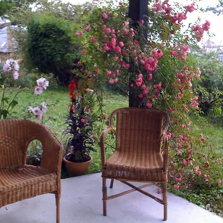 La Marguerite *